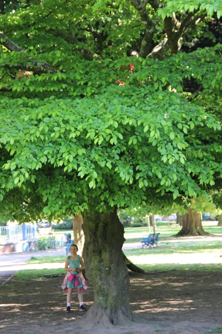 8a6cee2d-1ab7-4319-b5eb-d0c936756cd5